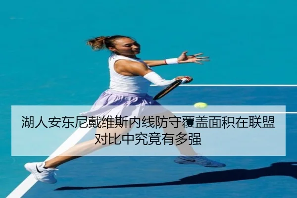 湖人安东尼戴维斯内线防守覆盖面积在联盟对比中究竟有多强